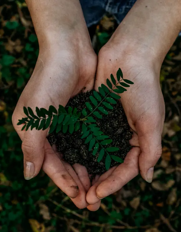 USA Distributor of Mother Earth Recycled Plastic Products