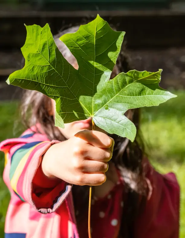 USA Distributor of Mother Earth Recycled Plastic Products